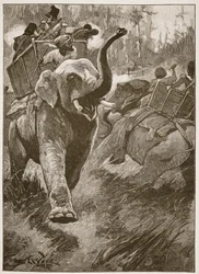 De rädda elefanterna rusade tillbaka och kraschade genom skogen, illustration från "Battles of the Nineteenth Century" av Archibald Forbes, G.A. Henty och major Arthur Griffiths